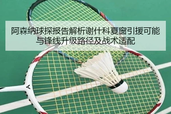 阿森纳球探报告解析谢什科夏窗引援可能与锋线升级路径及战术适配