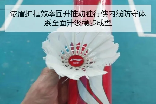浓眉护框效率回升推动独行侠内线防守体系全面升级稳步成型